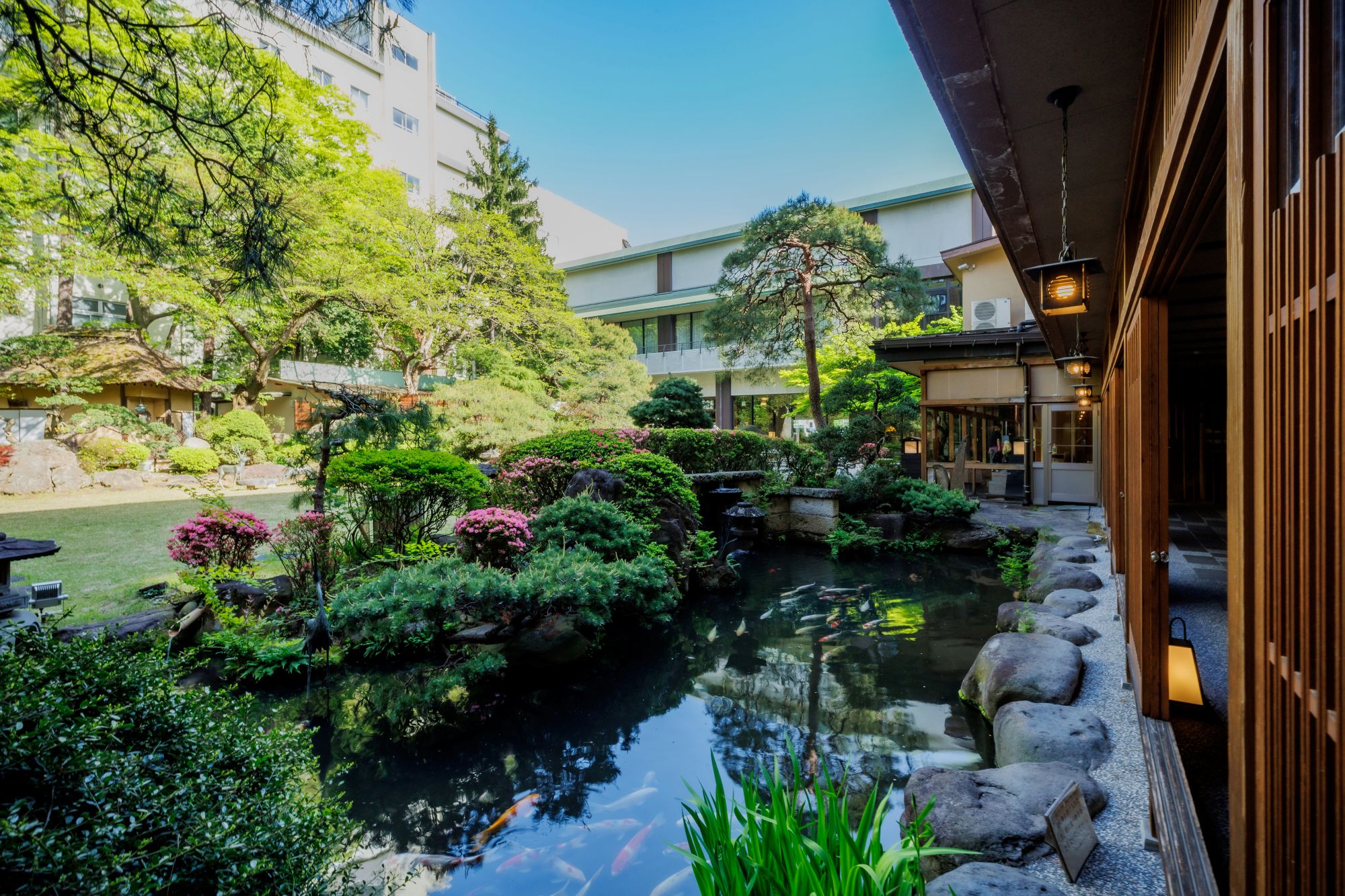 【ひとり旅】気軽に楽しむ山形旅｜温泉でゆったり過ごす一人旅（夕朝食付）