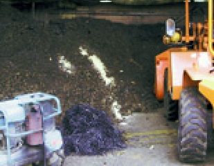 堆肥場と竹炭