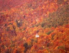 山麓線から見る秋の紅葉
