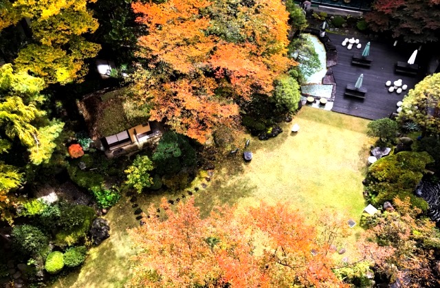 日本庭園の紅葉が進んでおります