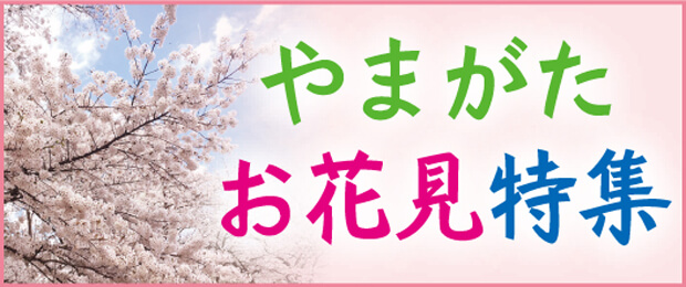 山形桜お花見特集